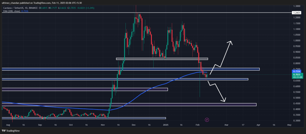 Cardano (ADA) baleines perdant la force, œil sur 0,50 $ - La Crypto Monnaie