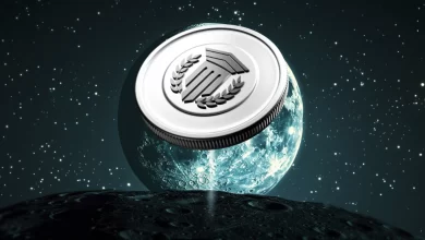 muttum-finance
