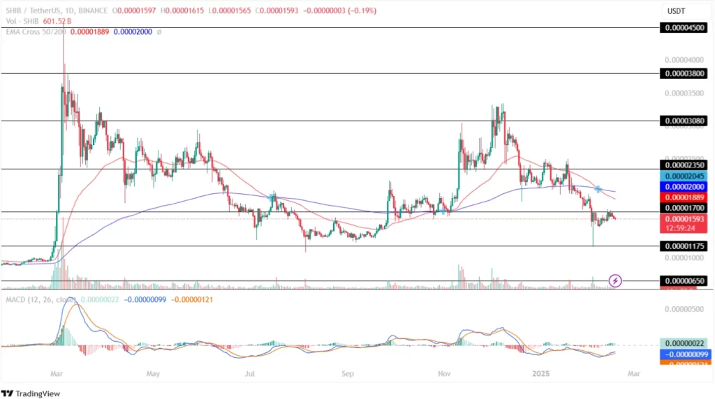 Shiba Inu Price Analysis 17th February 2025