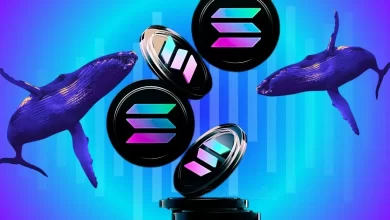 Whales Propel the Solana Price Beyond $145—Is it a Short-Term Rebound or a Start of a Fine Recovery