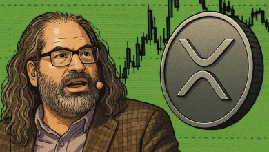 Ripple CTO's Ghibli Image Has Crypto Fans Wondering 'XRP Price Pump When'