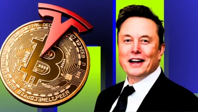 Tesla Bitcoin Holdings Unmoved as Q1 Revenue Drops 9%_ What’s the Strategy