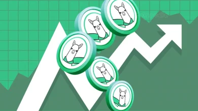 Why Alpaca Finance (ALPACA) Price is Up Today