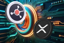 xrp-ruvi-ai (1)