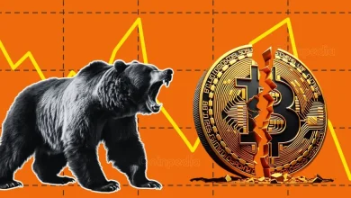 Why Is the Crypto Market Down Today