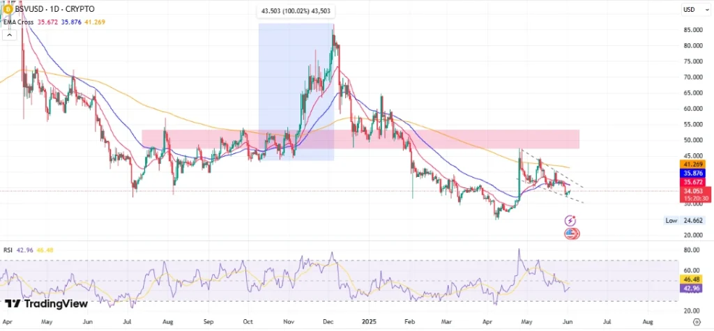 Bitcoin SV Price
