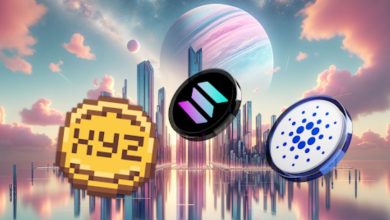 XYZVerse