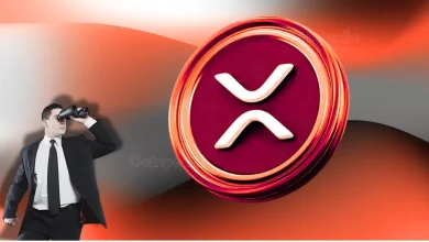 XRP Price Prediction, Elliot Wave Analysis And More For May 2025
