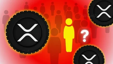Only 1 in 8,000 People Hold XRP Is It Too Late to Join