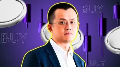 Binance founder Changpeng Zhao Reveals Top 4 Altcoin Sectors Set to Explode