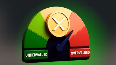Expert Says XRP is ‘Insanely Overvalued’ But Not ‘Worthless’
