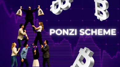 Bitcoin Might Be a Ponzi Scheme_ Ex-Governor Blames Elon Musk & Trump for Big Lies
