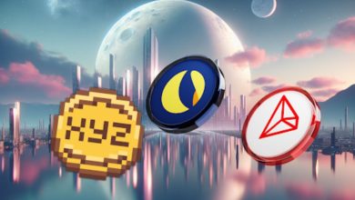 XYZVerse
