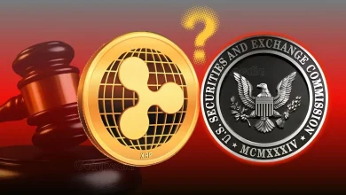 Is the Ripple SEC Lawsuit Over Pro-XRP Lawyer Says Not Yet