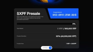 Xpfinance