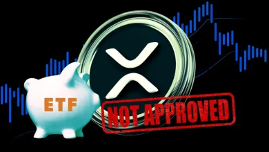 No XRP ETFs Were Approved on May 7, Expert Clarifies