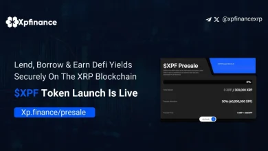 xp-finance