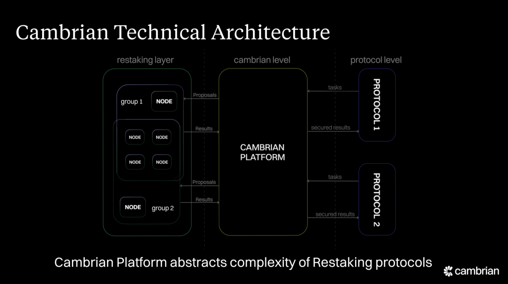 cambrian-technical