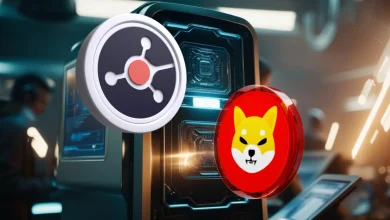 ruvi-ai-shib