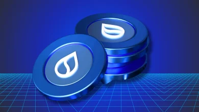 SUI Coin analysis