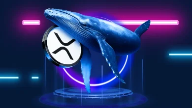 XRP Whale Accumulation Surges as Institutions Double Down on Ripple Ledger