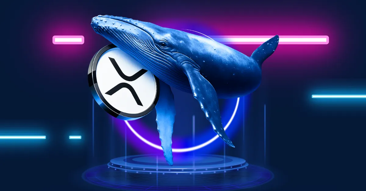 XRP Whale Accumulation Surges as Institutions Double Down on Ripple Ledger