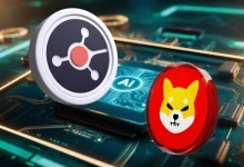 ruvi-ai-shib