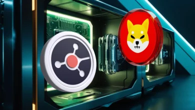 ruvi-ai-shib (3)