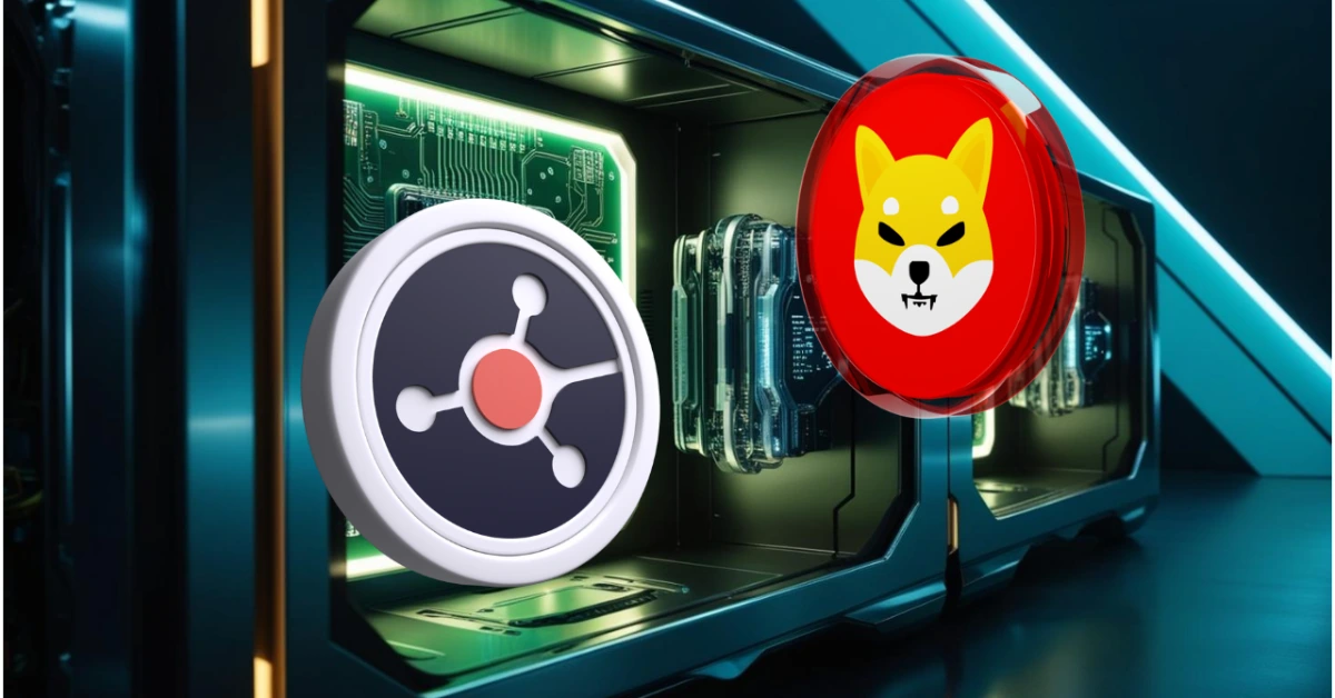 ruvi-ai-shib (3)