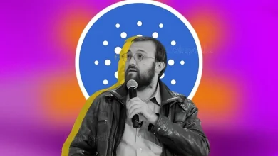 Charles Hoskinson’s Midnight Airdrop Targets 37M Wallets, Excludes VCs
