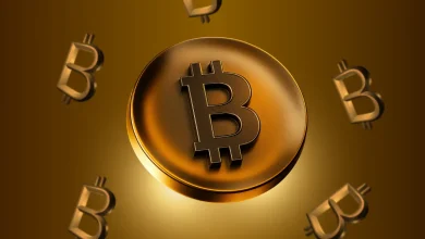 Which Will Yield Bigger Gains Buying Bitcoin or Bitcoin Treasury Stocks