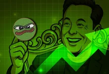 elon-pepe