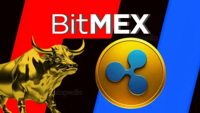 BitMEX Hints at Ripple Partnership XRP Market on Bullish Alert