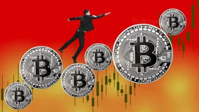 Bitcoin Juggling Between Pivotal Levels-Here’s What’s Next for the BTC Price Rally if it Plunges Below $102K