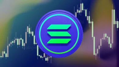 Are Investors Becoming Pessimistic About the Solana (SOL) Price Surge What Keeps SOL Price Below $170