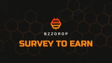 bzzdrop