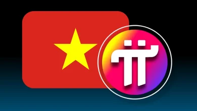 Pi Network Faces Centralization Power as Vietnam Dominates Its Node Activity