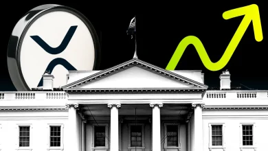 Why XRP Price Skyrocketed After the U.S. Election_ Report Explains