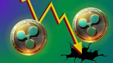 XRP Price To Crash 30% If This Happens (1)