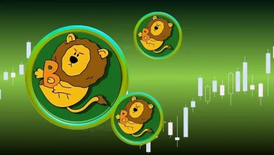 BSC-based Memecoin BUILDon (B) Surges 150% After Support from World Liberty Financial (WLFI) (1)