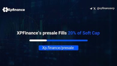 XpFinance