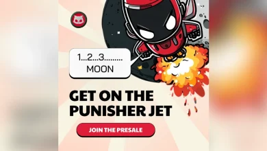 punisher-coin