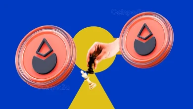 Sui Price Forecast What Next After the $223M Cetus Protocol Exploit
