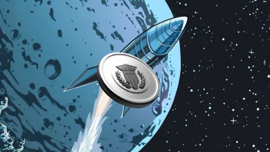 mutuum-finance