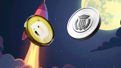 Mutuum Finance
