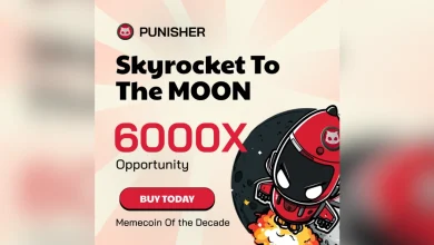 punisher-coin