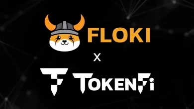 flokixtokenfi