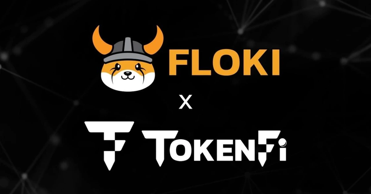 flokixtokenfi