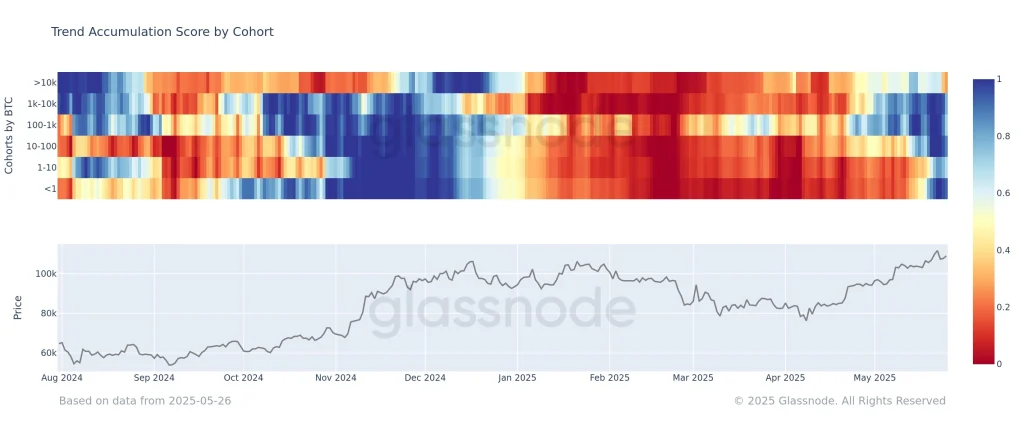 BTC Trend Accumulation