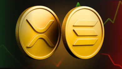 Crypto Whales Are Buying These 3 Altcoins Ahead of the Crypto Bull Run